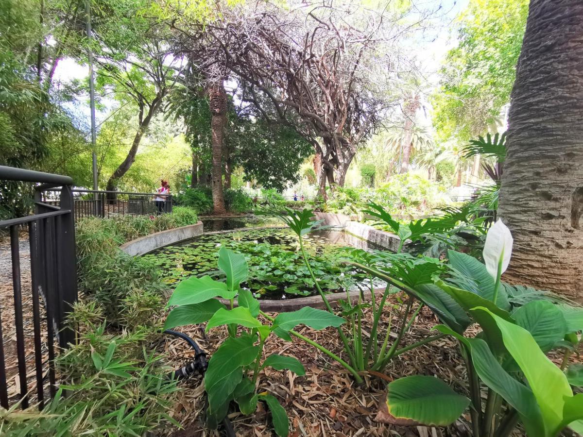 Home2Book Charming Studio Santa Cruz City Views المظهر الخارجي الصورة